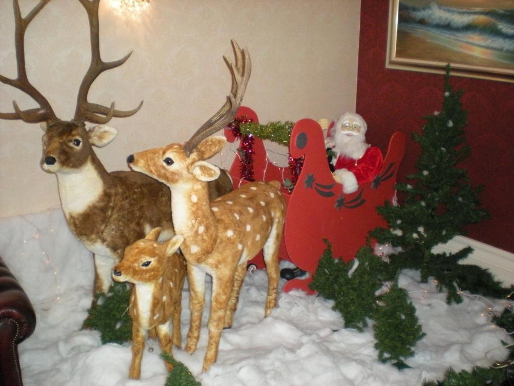 Howden Court Hotel Torquay Εξωτερικό φωτογραφία